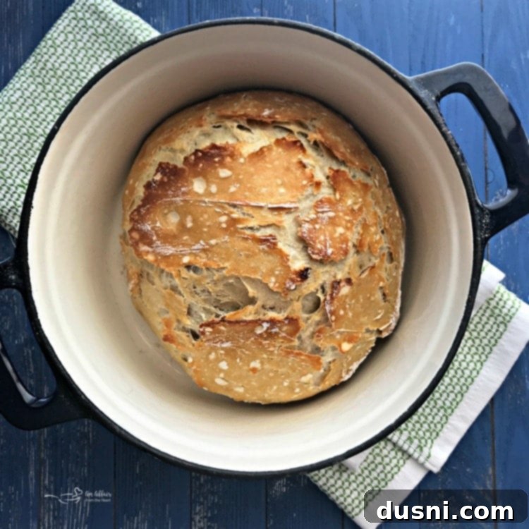 Close-up of freshly baked No Knead Crusty Dutch Oven Bread, showcasing its golden-brown, crispy crust.