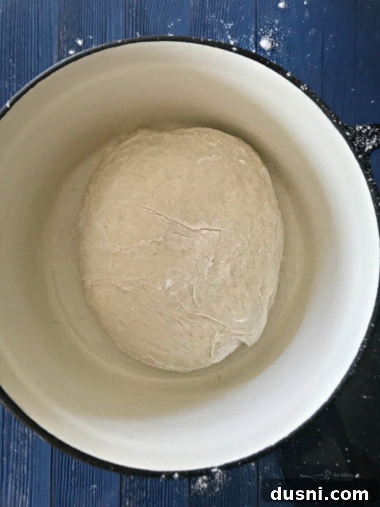 No-knead bread dough turned out onto a floured surface, being gently shaped into a ball.
