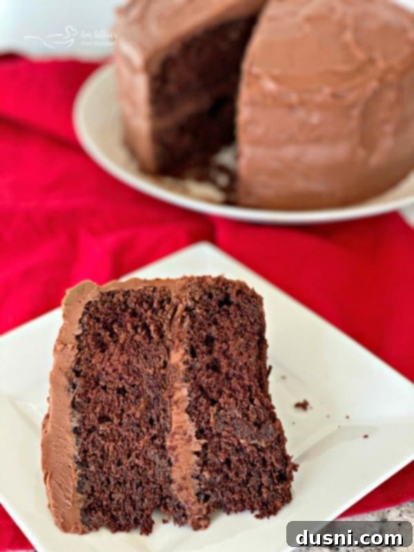 Chocolate Cake's Tangy Twist 6 Sauerkraut Chocolate Cake with slices neatly arranged