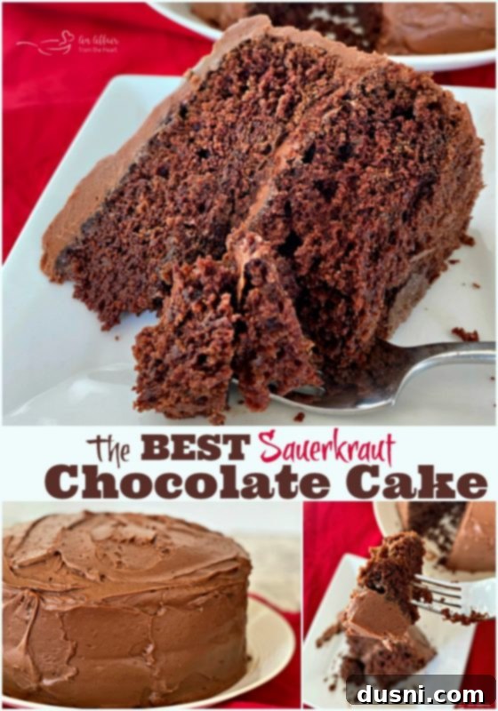 Chocolate Cake's Tangy Twist 8 The BEST Sauerkraut Chocolate Cake - An Affair from the Heart