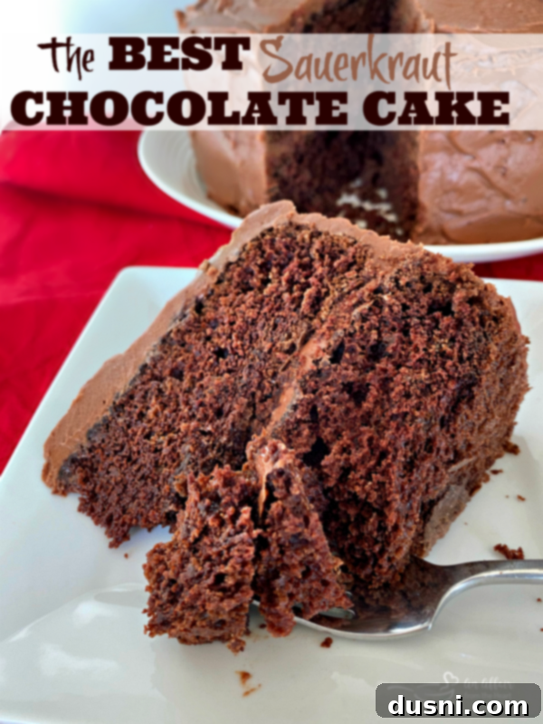Chocolate Cake's Tangy Twist 9 A hero shot of the Sauerkraut Chocolate Cake