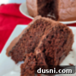 Chocolate Cake's Tangy Twist 11 The BEST Sauerkraut Chocolate Cake slice on a white plate