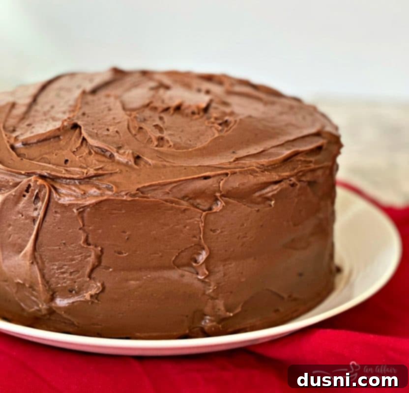 Chocolate Cake's Tangy Twist 2 Whole Sauerkraut Chocolate Cake on a cooling rack