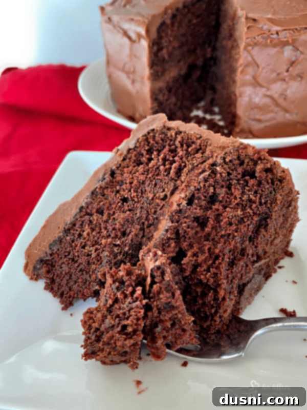 Chocolate Cake's Tangy Twist 3 A beautifully frosted Sauerkraut Chocolate Cake