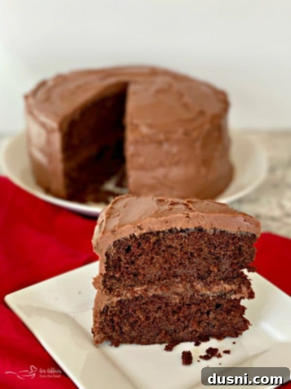 Chocolate Cake's Tangy Twist 4 Close-up of a slice of Sauerkraut Chocolate Cake