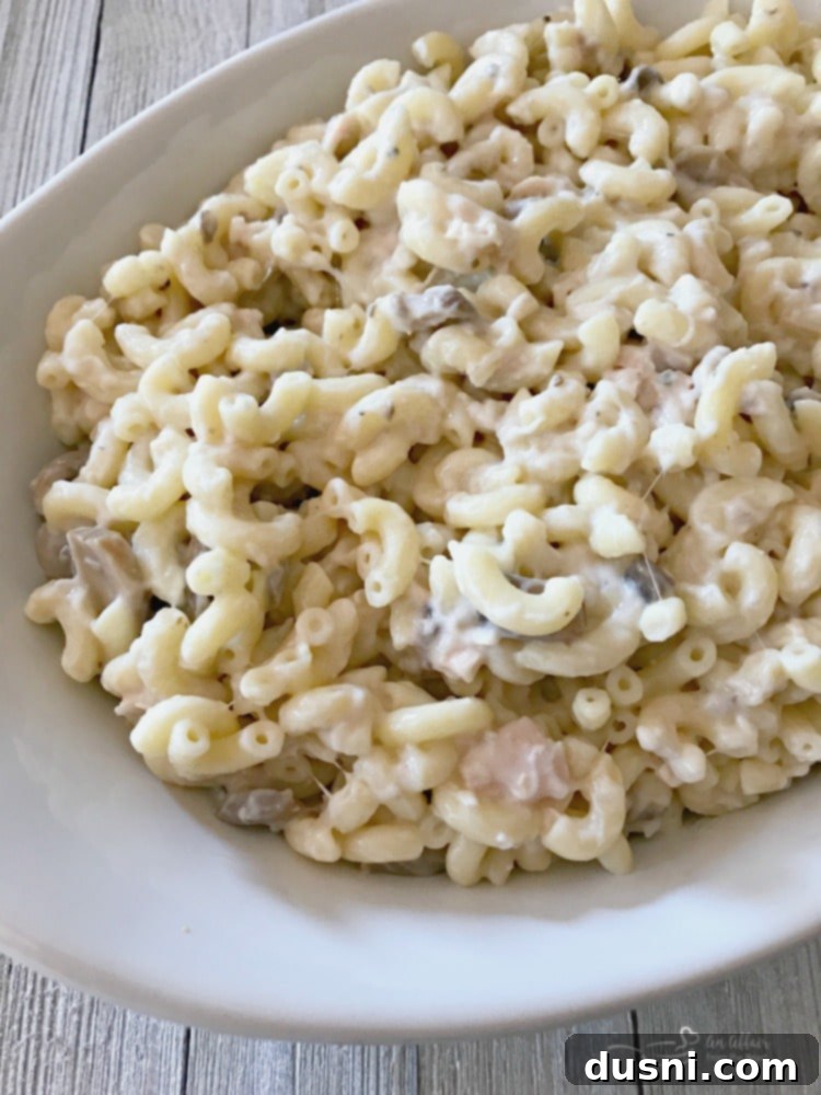 Overhead view of a Tuna Tetrazzini Casserole in a white baking dish, without the chip topping