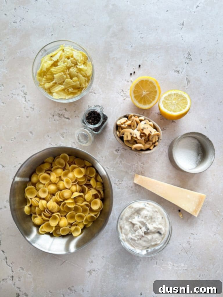 Ready-to-bake Tuna Tetrazzini Casserole in a dish, topped with crushed potato chips