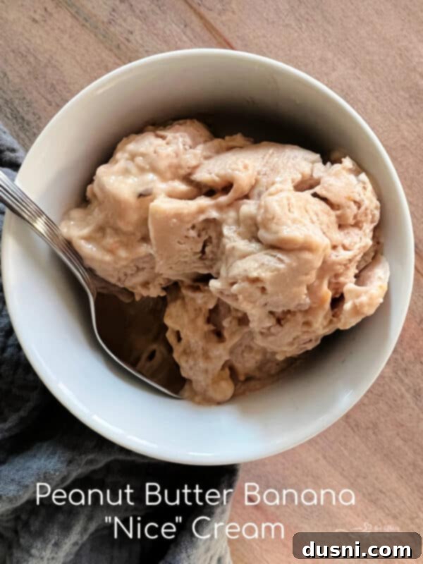 Creamy Peanut Butter Banana Delight 9 Peanut Butter Banana Ice Cream in a white bowl