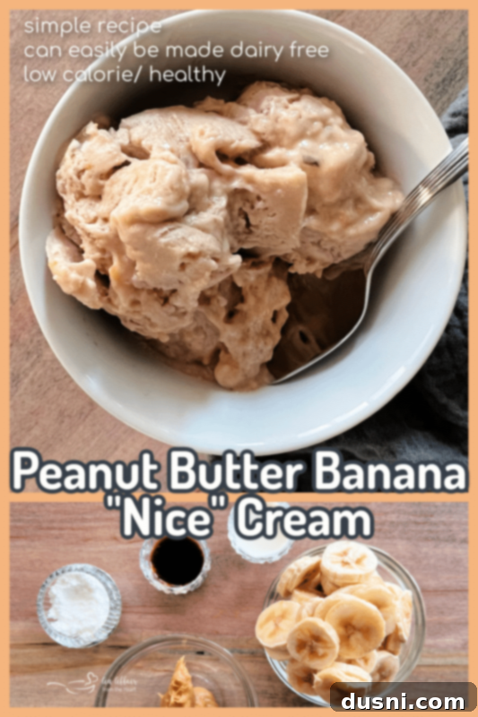 Creamy Peanut Butter Banana Delight 6 Peanut Butter Banana Nice Cream in a white bowl with a spoon
