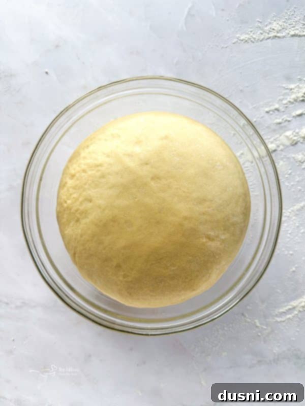 Warm Cinnamon Pull-Apart Perfection 11 Doubled in size, risen dough ready for shaping