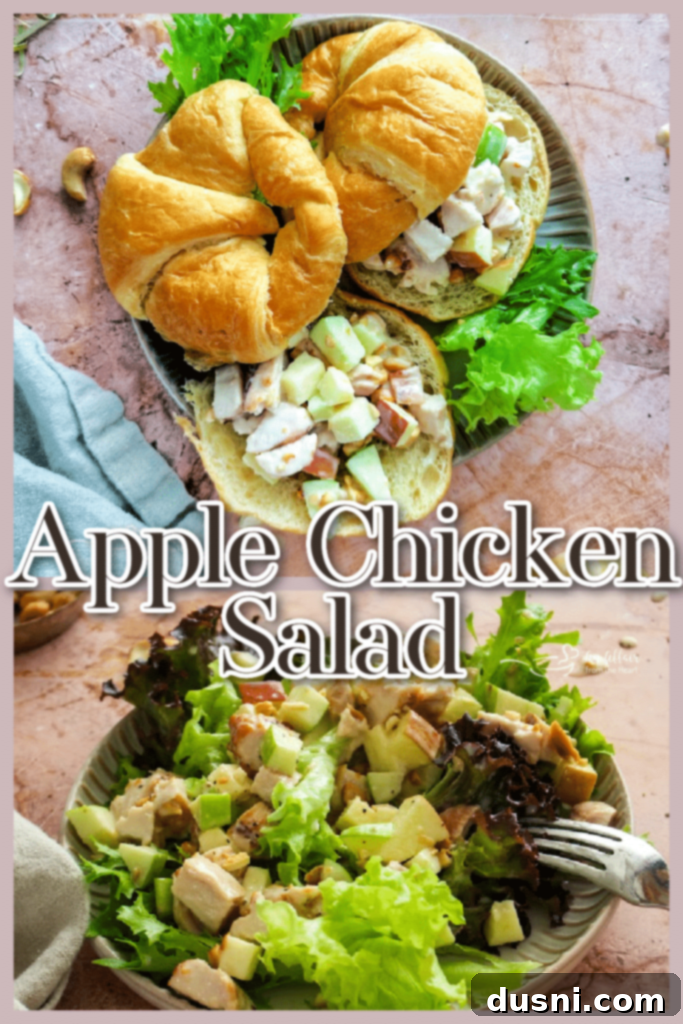 A serving of Apple Chicken Salad with fresh dill on top.