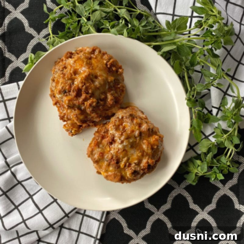 Pizza Burger Melts 3 Close-up of Open-Faced Pizza Burgers with melted cheese