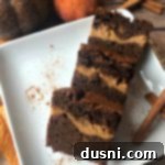 Autumn Bliss Pumpkin Cheesecake Swirl Brownies 2 Pumpkin Cheesecake Swirl Brownies on a white plate