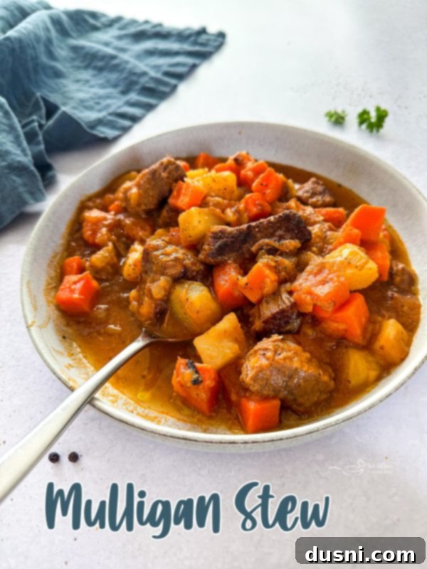 Hero shot of Mulligan Stew, beautifully presented in a bowl.