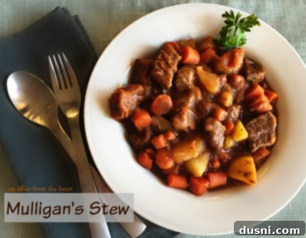 Overhead shot of Mulligan's Stew in a white bowl, showcasing its delicious appeal.