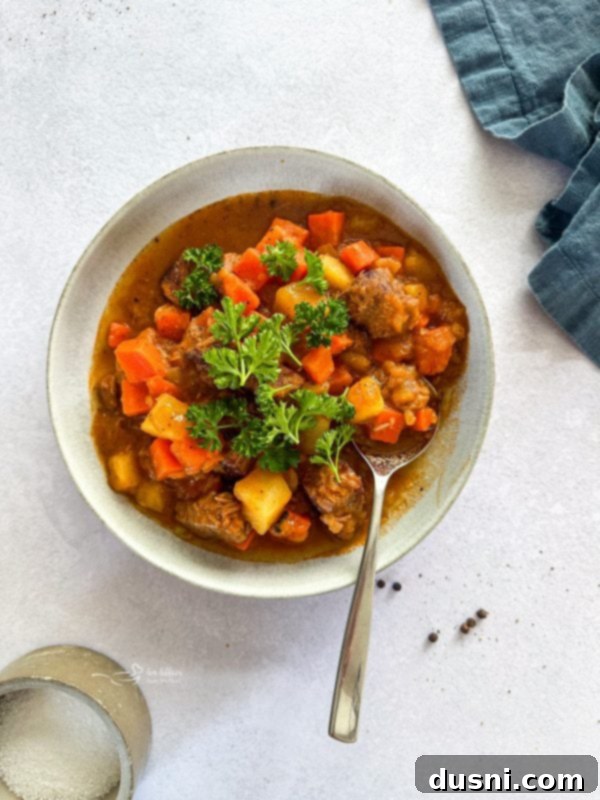 Close-up of Mulligan Stew, highlighting the rich broth and perfectly cooked vegetables.