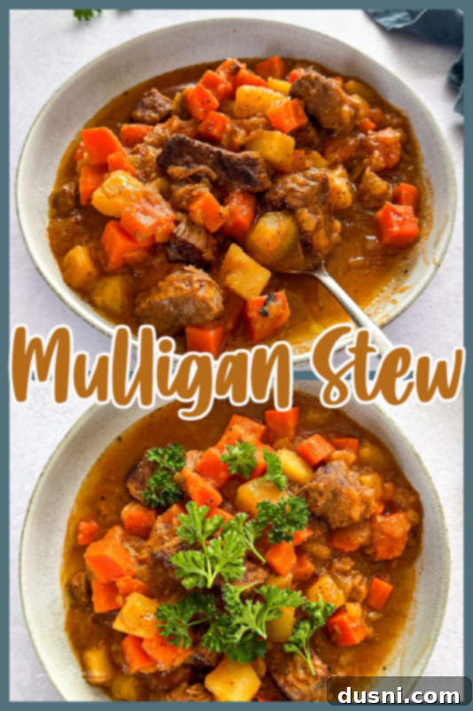 Delicious Mulligan Stew ready to be served, a comforting meal.