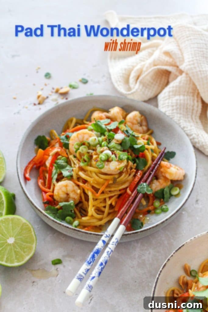 A beautifully presented bowl of One-Pot Pad Thai Wonderpot, ready to serve.