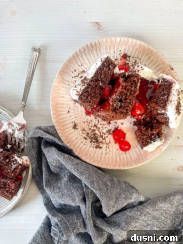Black Forest Cake one plate with a slice of black forest cake