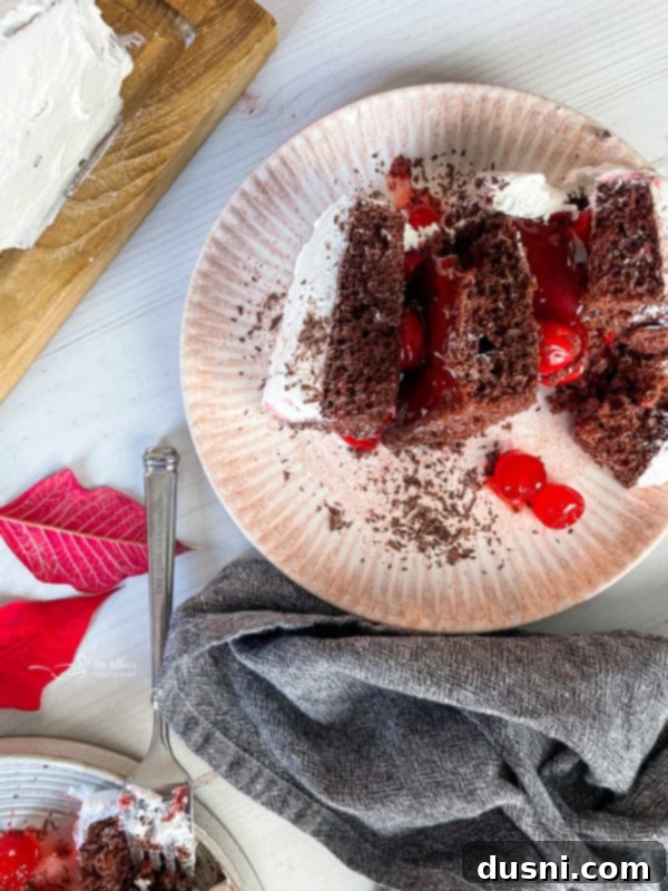 Black Forest Cake one slice of black forest cake with cherries and Cool Whip