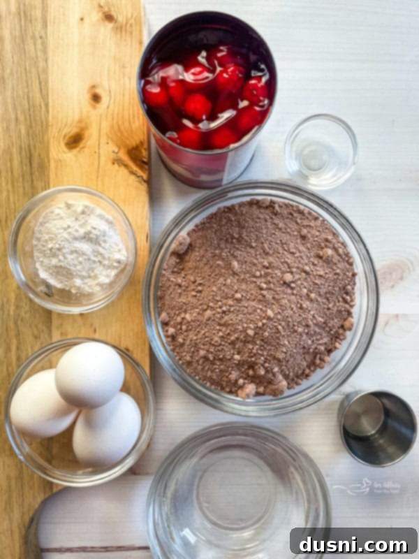 Black Forest Cake cherries, cocoa powder, eggs, oil, water