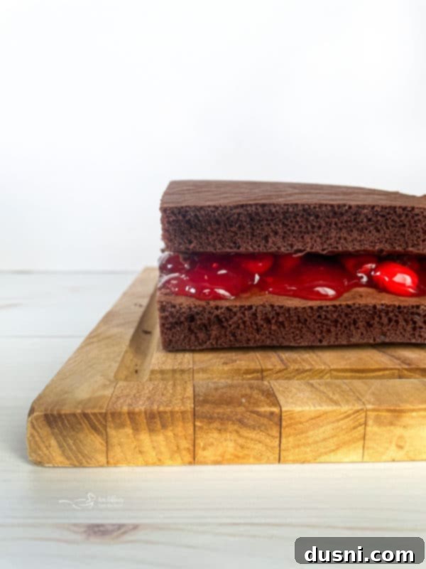 Black Forest Cake cherry pie filling in between two chocolate cake layers