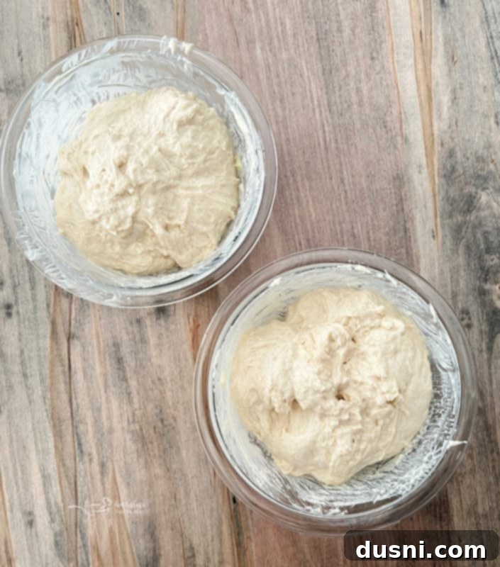 Buttery Peasant Bread Two equal portions of peasant bread dough placed into separate buttered Pyrex bowls, ready for their second rise.