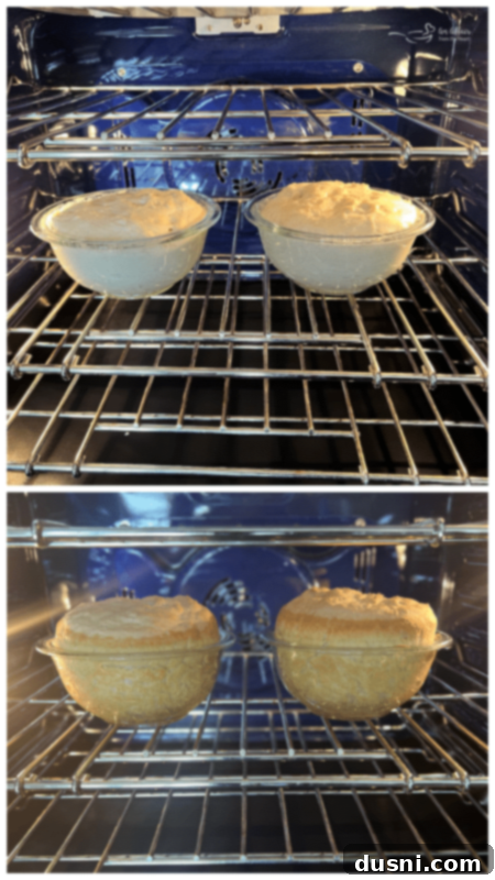 Soft Peasant Bread Recipe Two loaves of peasant bread baking inside Pyrex bowls in a hot oven, showing early browning.