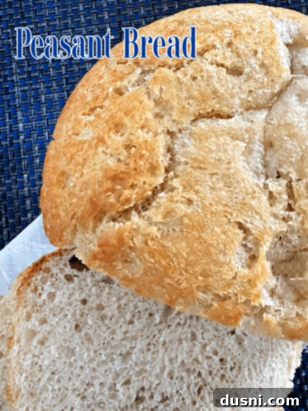 Peasant Bread Recipe Top-down view of a round loaf of peasant bread with a triangular slice cut out, showcasing the soft interior and golden crust.