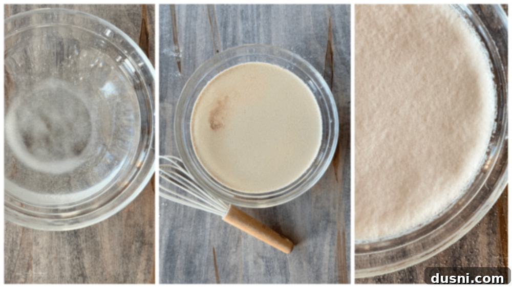 Peasant Bread Recipe Close-up of a bowl showing frothy, activated active dry yeast mixture with sugar and lukewarm water.