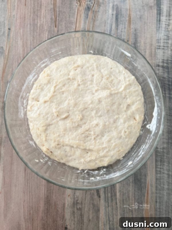 No-Knead Peasant Bread Peasant bread dough having significantly risen and expanded in a bowl, covered with plastic wrap.
