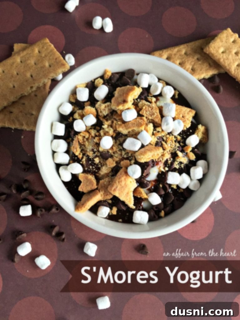 Smores Yogurt Dual Delights 2 S'Mores Yogurt Two Ways - Vanilla with Graham Cracker and Marshmallow Toppings