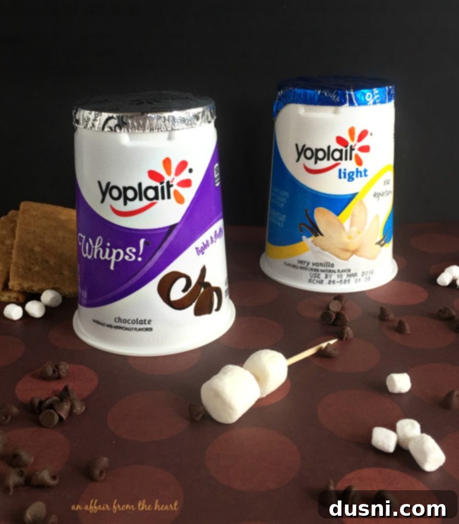 Smores Yogurt Dual Delights 3 Close-up of S'Mores Yogurt with visible graham crackers and chocolate chips