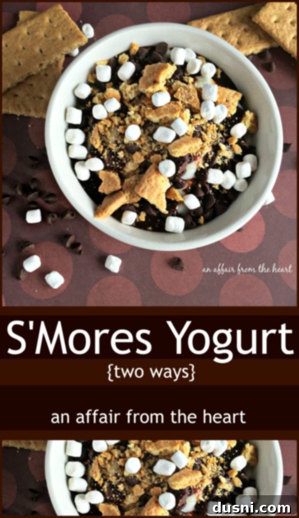 Smores Yogurt Dual Delights 4 Overhead shot of two S'mores yogurt cups, one vanilla, one chocolate