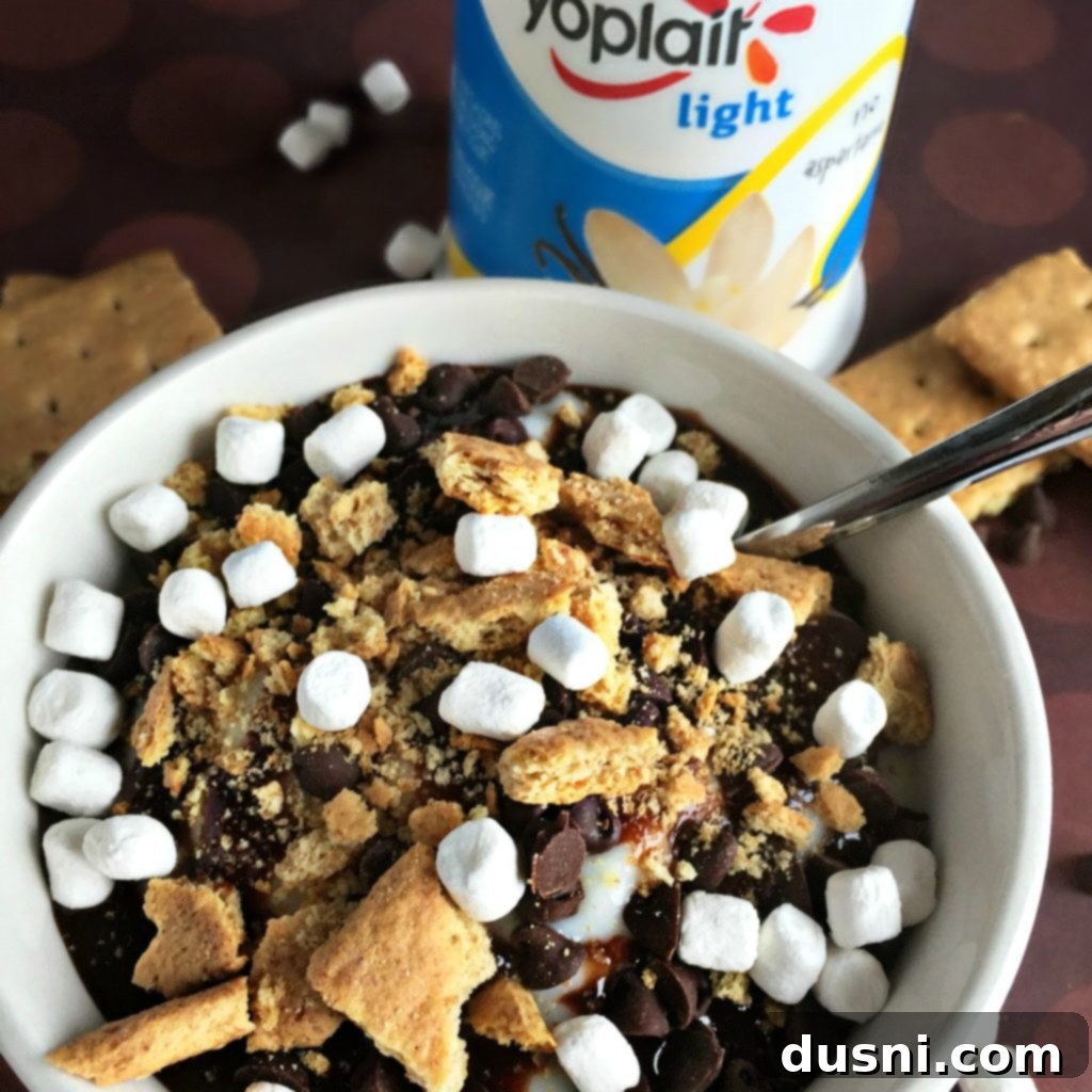 Smores Yogurt Dual Delights 6 S'Mores Yogurt ingredients: graham crackers, marshmallows, chocolate chips