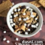 Smores Yogurt Dual Delights 9 S'Mores Yogurt in a white bowl with text