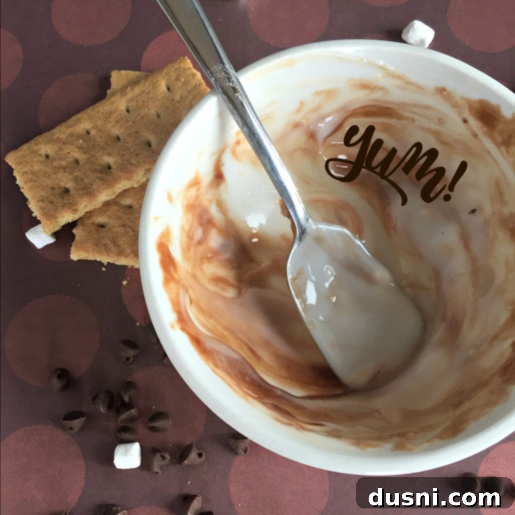 Smores Yogurt Dual Delights 10 S'Mores Yogurt in a clear glass with layers of graham crackers, chocolate, and marshmallows