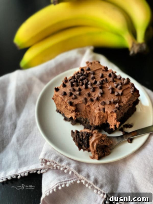 Rich, moist chocolate banana cake with creamy sour cream frosting