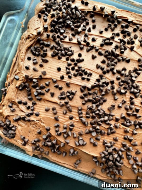 Chocolate Banana Cake with a generous layer of sour cream chocolate frosting