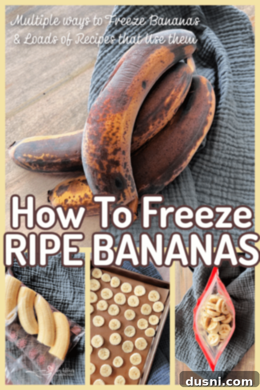 A visual guide or infographic titled 'How To Freeze Bananas' with various methods and tips.