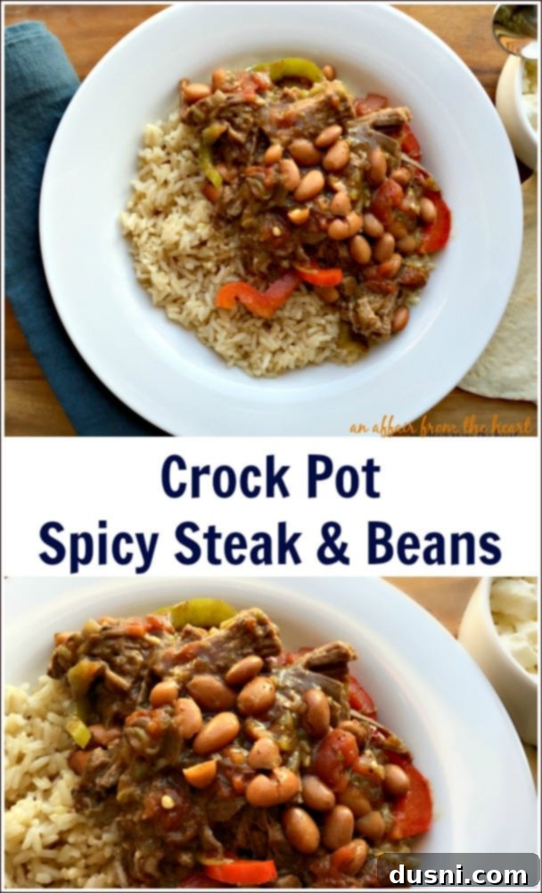 Spicy Crock Pot Steak and Beans 3 Crock Pot Spicy Steak & Beans in a serving bowl, showcasing the rich colors of steak, peppers, and beans.