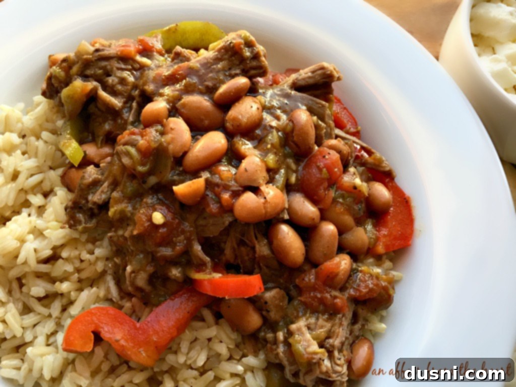 Spicy Crock Pot Steak and Beans 4 Close-up of Crock Pot Spicy Steak & Beans, ready to be served over rice.