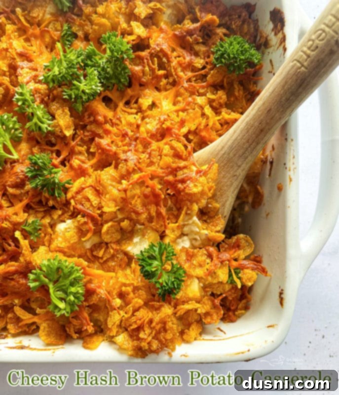 Golden Cheesy Hash Brown Bake 12 Hash Brown Potato Casserole, perfectly baked