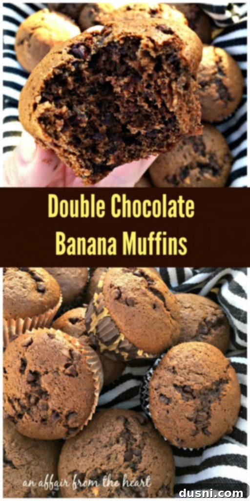 Decadent Double Chocolate Banana Muffins 3 Double Chocolate Banana Muffins - An Affair from the Heart