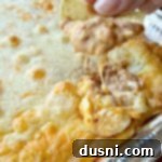 Texas Trash Dip 10 Texas Trash Dip on a chip