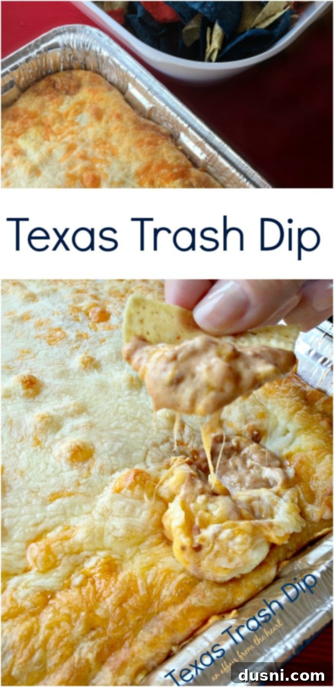 Texas Trash Dip 3 Texas Trash Dip An Affair from the Heart