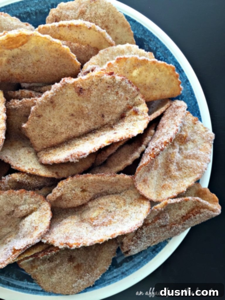 Cooled cinnamon sugar taco shells, ready for filling