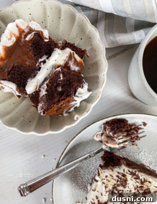 Ultimate Chocolate Pudding Dream Cake 15 A top-down view of the Chocolate Pudding Poke Cake in a baking dish, with a slight blur, emphasizing its homemade appeal and inviting texture.