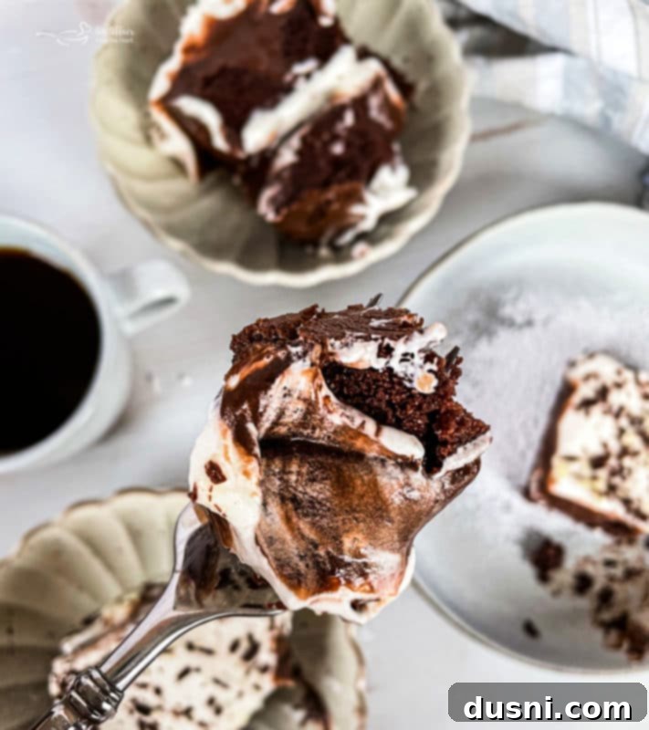 Ultimate Chocolate Pudding Dream Cake 17 A perfectly sliced Chocolate Pudding Poke Cake on a plate, garnished with chocolate shavings and ready to eat.