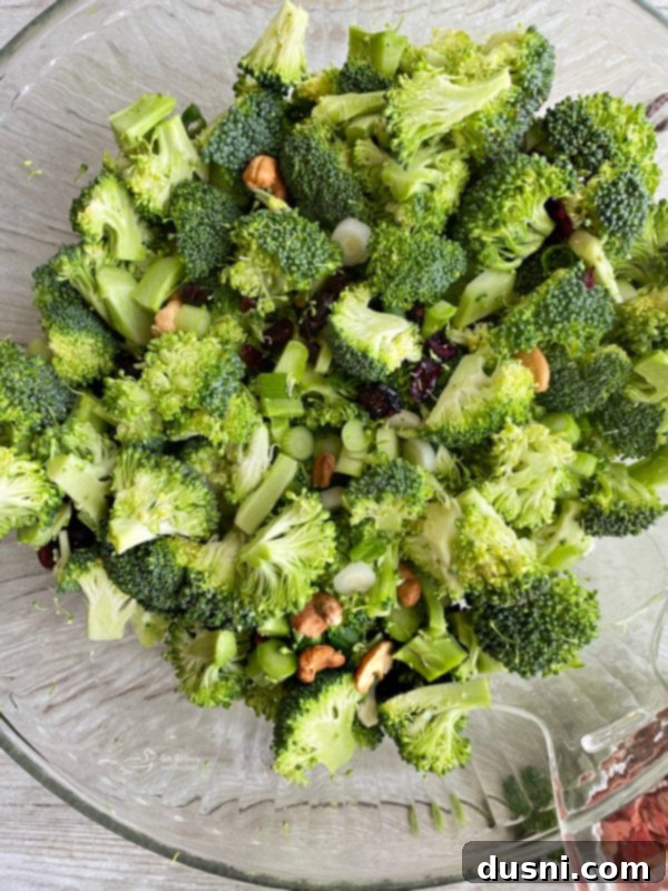 Smoky Cashew Broccoli Crunch 7 Bowl filled with broccoli and other vegetables, including green onions, cashews, and dried fruit, lightly tossed.